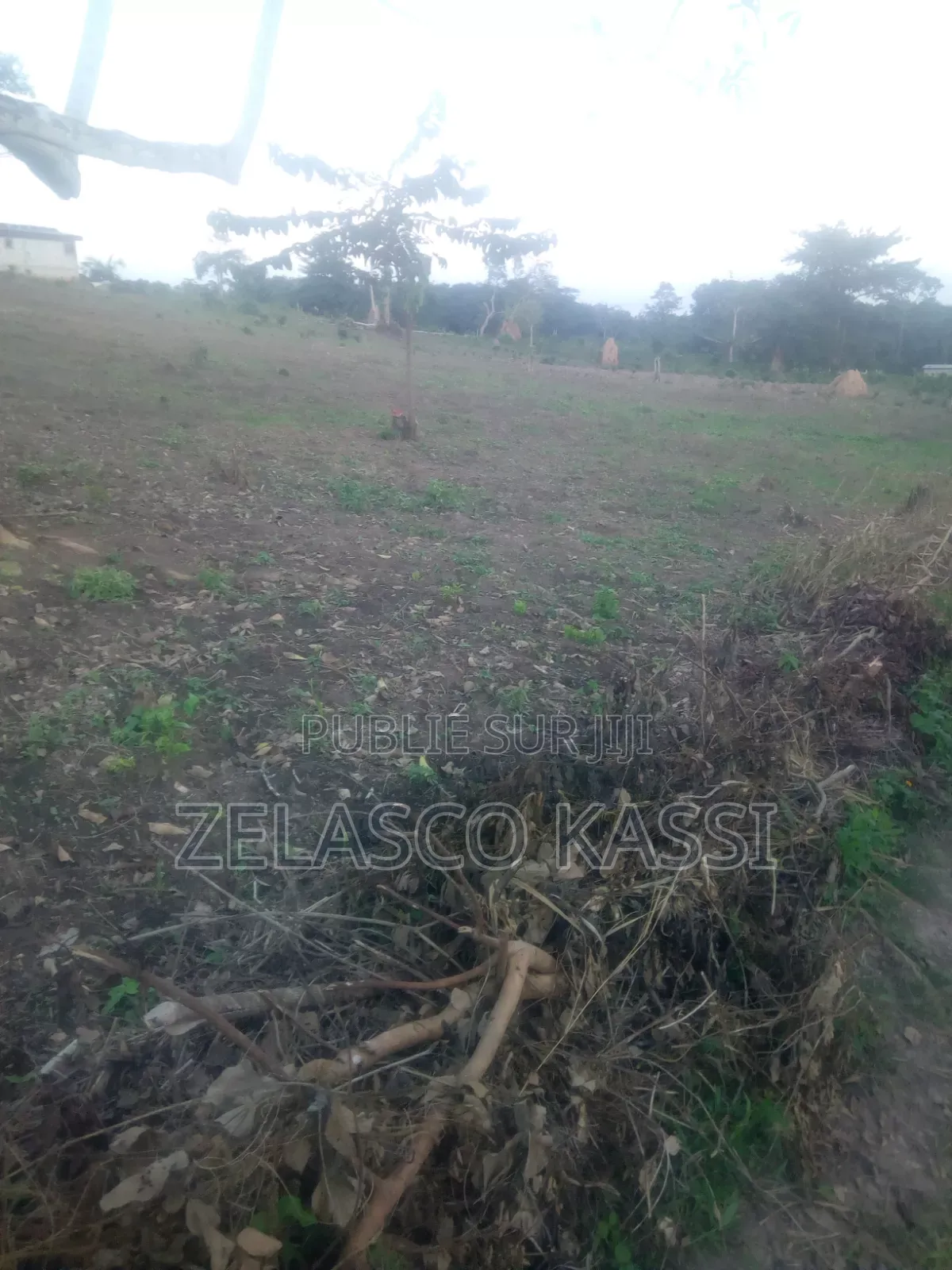 Terrain De Construction en Vente