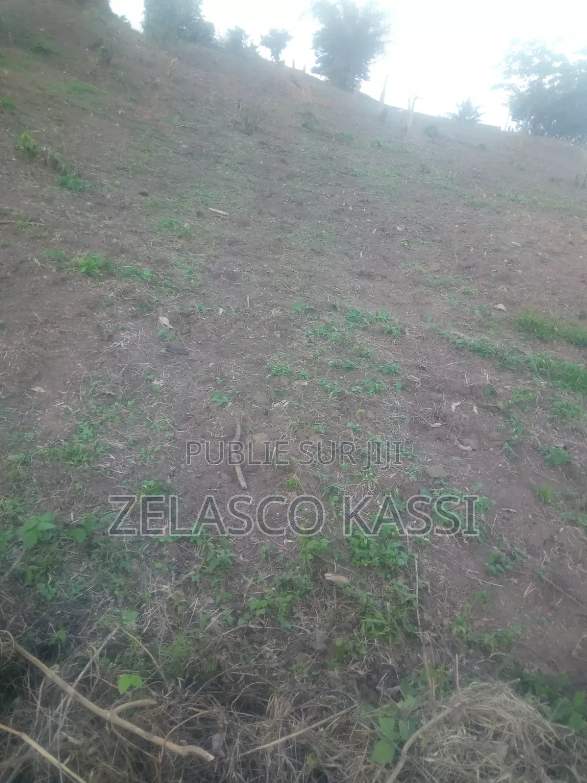 Terrain De Construction en Vente