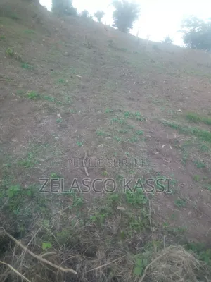 Terrain De Construction en Vente