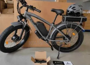 Vélos Électriques