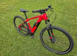 Vélos Électriques