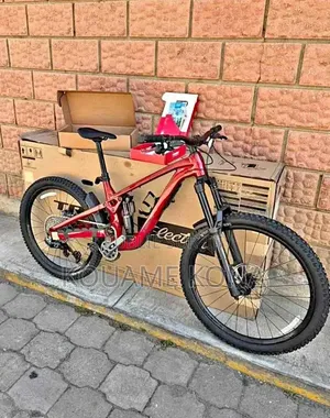 Vélos Électriques