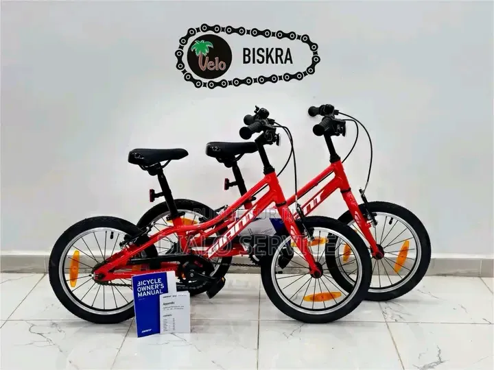 Vélo Elliptique