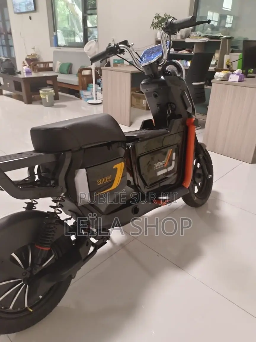 Moto Électrique M6/M8