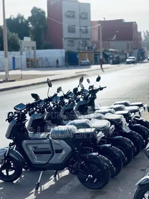 Moto Électrique M6/M8
