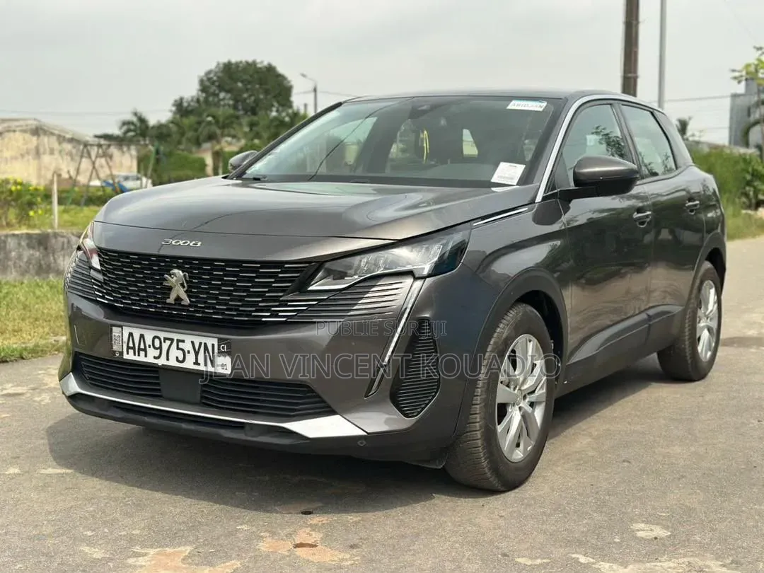 Peugeot 3008 2021 Argenté