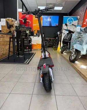 Trottinette Électrique