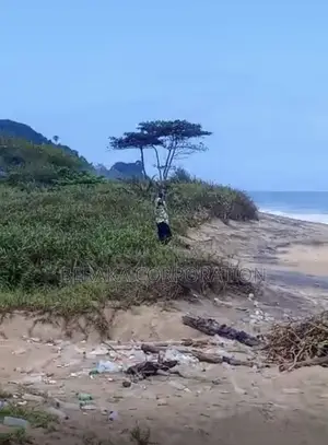 *À Vendre À San Pedro* Un Grand Site De 300 Ha en Bordure De Mer