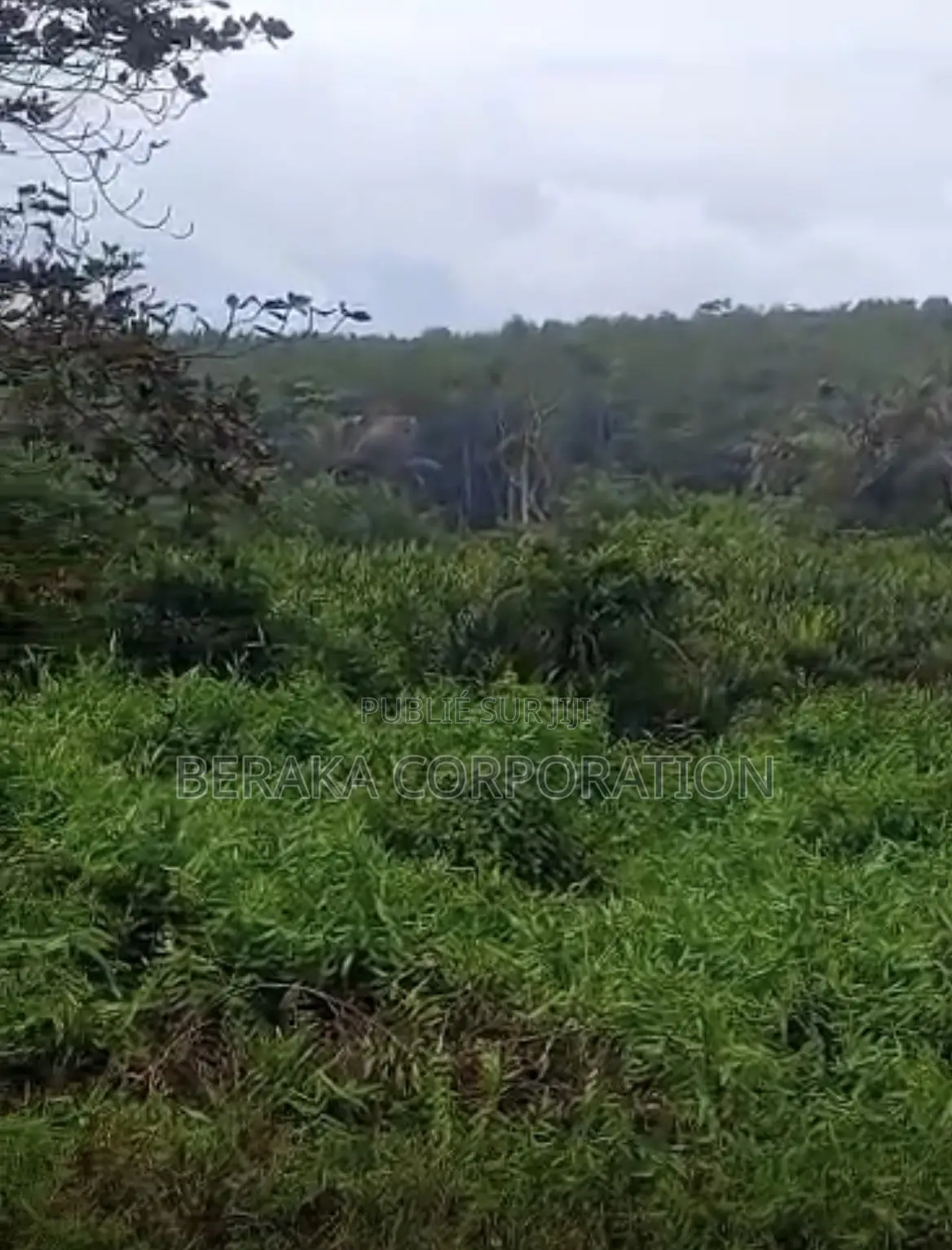 *À Vendre À San Pedro* Un Grand Site De 300 Ha en Bordure De Mer
