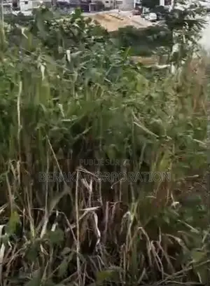 BINGERVILLE – APRÈS CITÉ FEH KESSÉ Duplex Inachevé Sur 418 M2 Pri