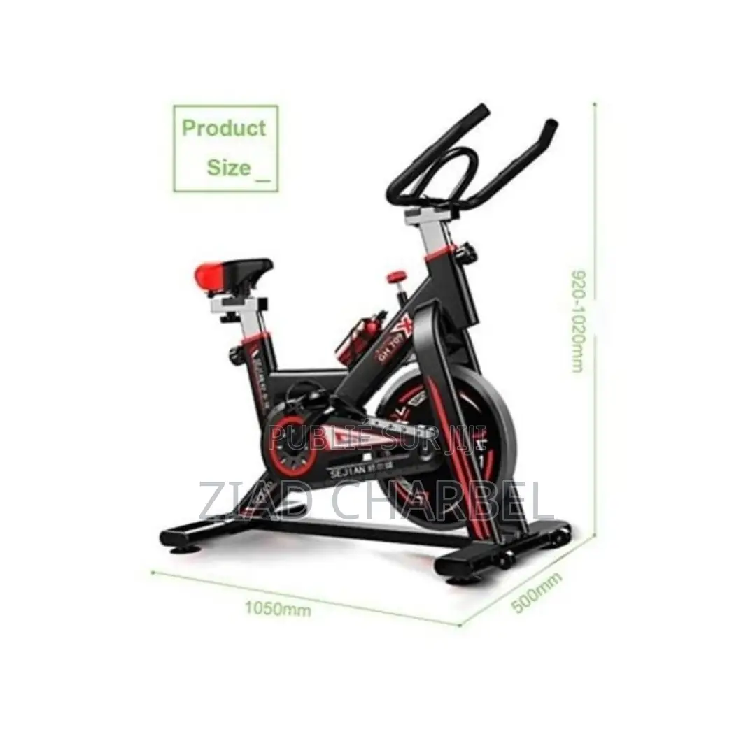 Bicyclette Sportive