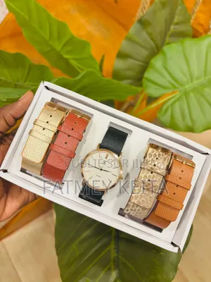 Coffrets De Montre FS