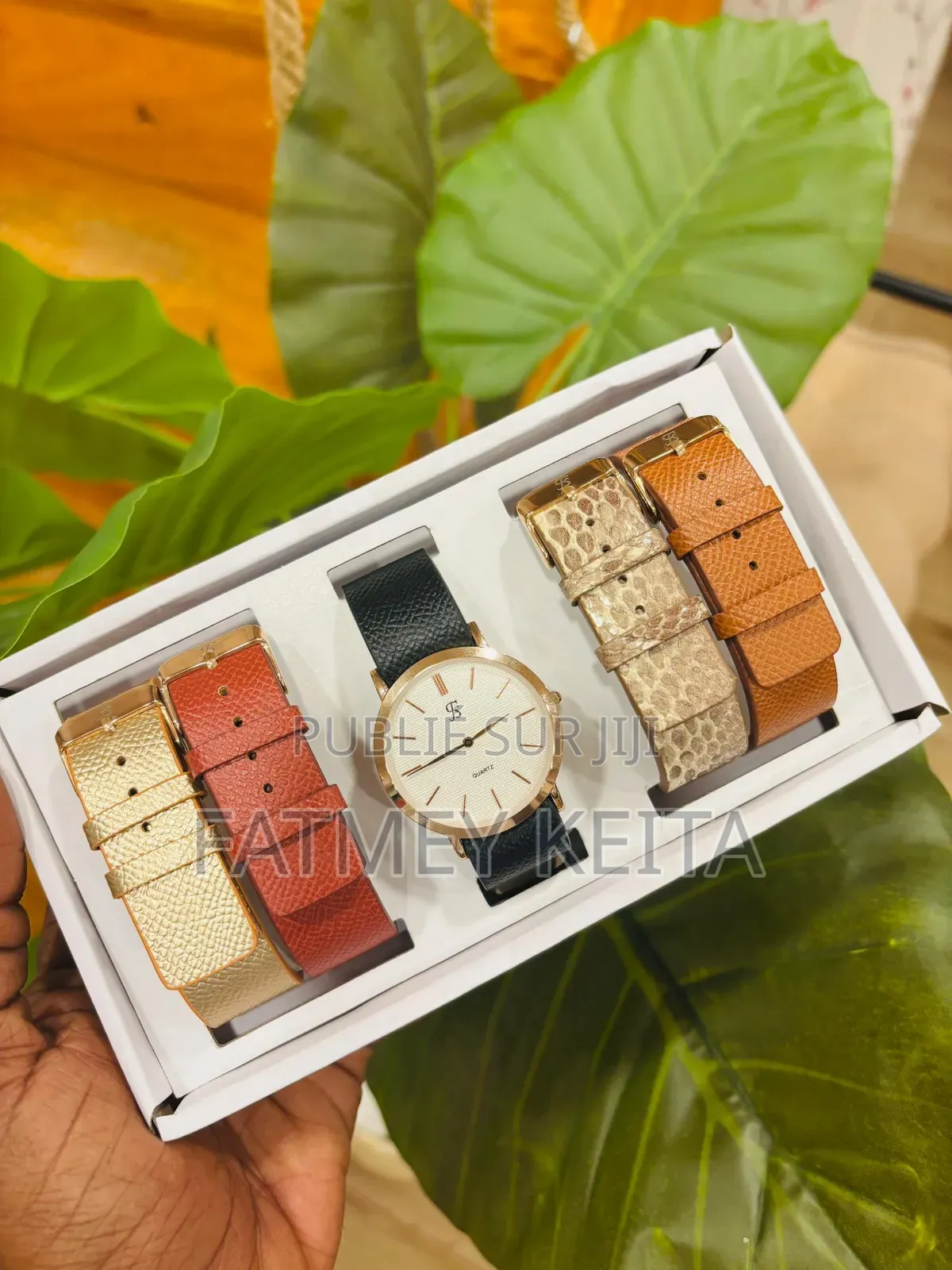 Coffrets De Montre FS