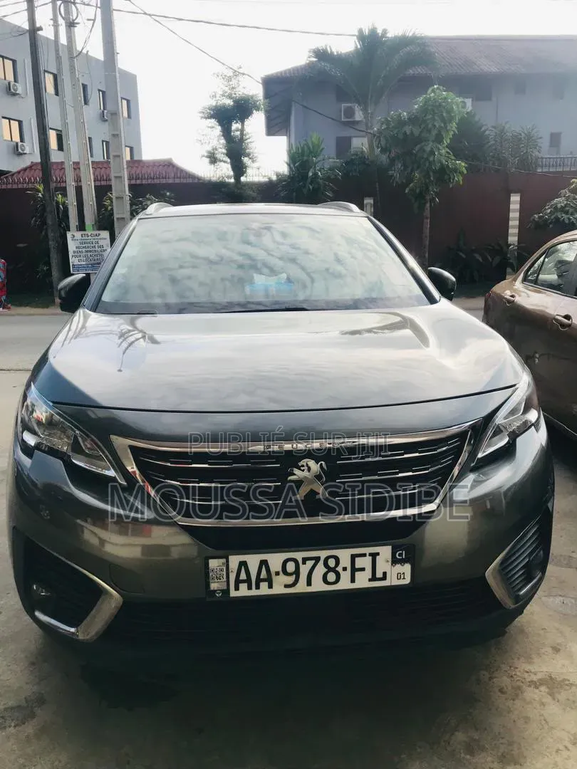 Peugeot 3008 2019 Gris
