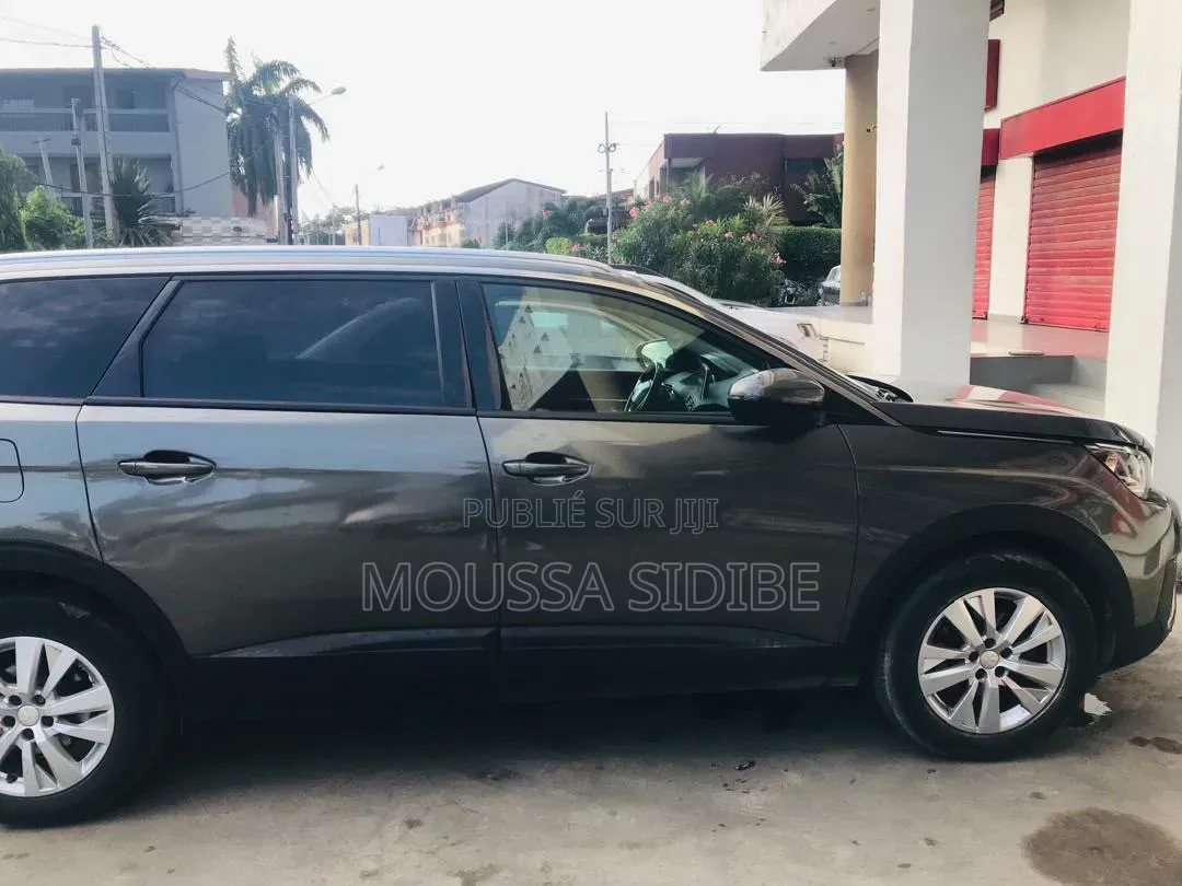 Peugeot 3008 2019 Gris