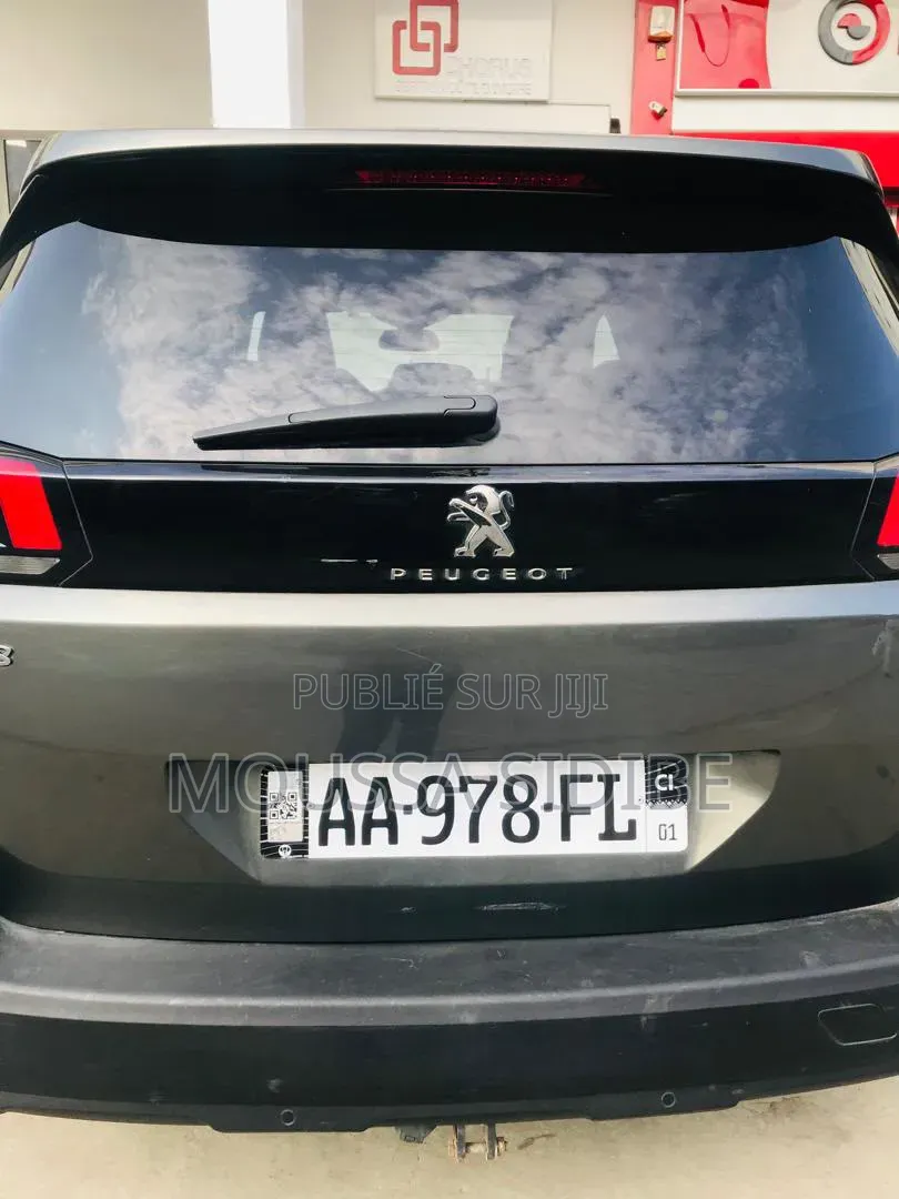 Peugeot 3008 2019 Gris