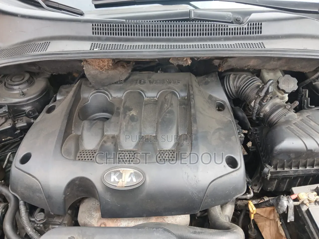 Kia Sportage 2007 Vert