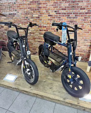 Moto Electrique