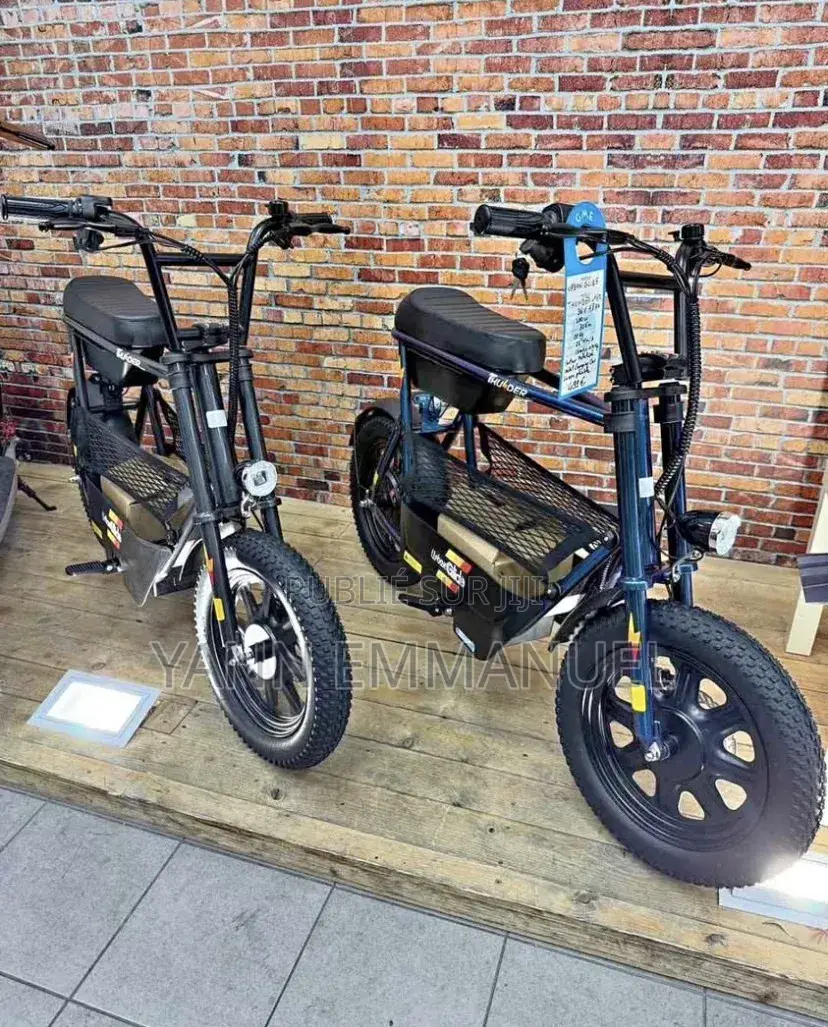 Moto Electrique
