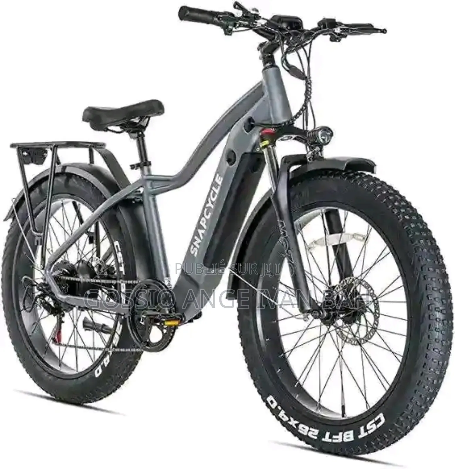 Vélo Électrique