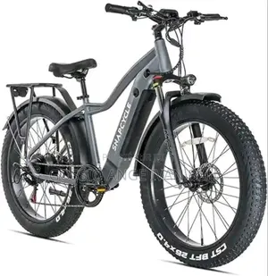 Vélo Électrique