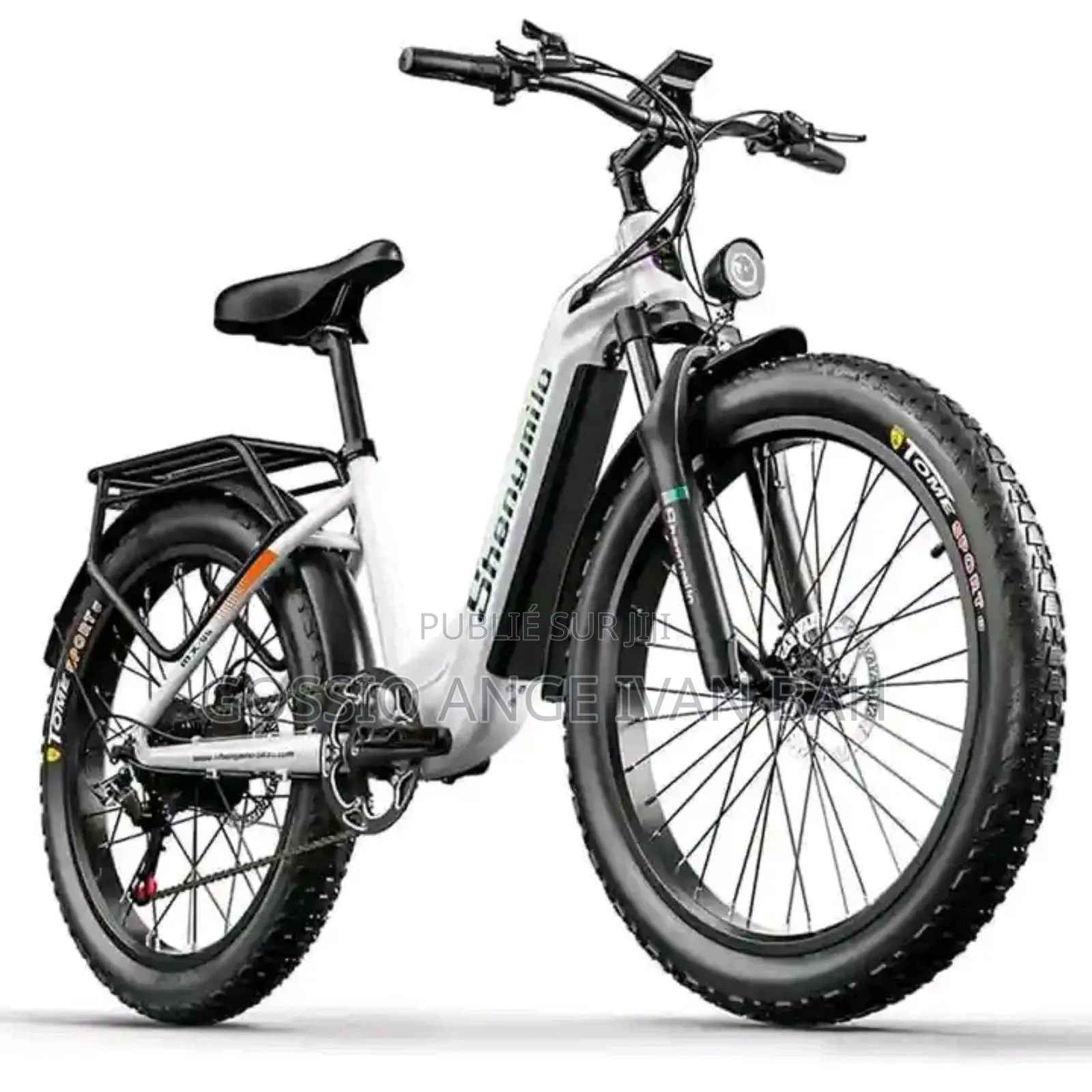 Vélo Électrique