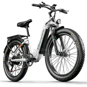 Vélo Électrique