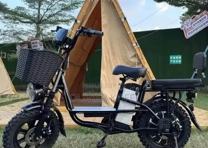 Vélo Électrique Original