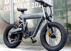 Vélo Électrique