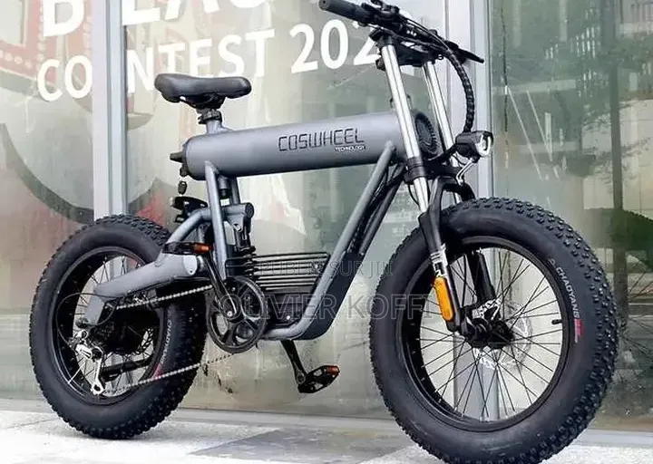 Vélo Électrique