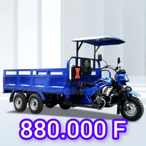 Nouveau Tricycle Autre 2026 Argenté