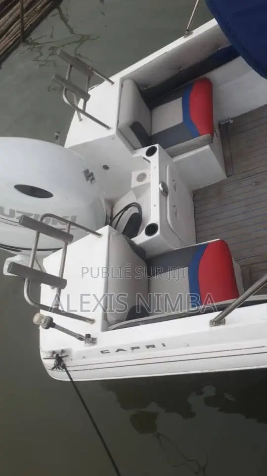 Bateau Plaisance Ouvert Devant Moteur 150cv Suziki 22 Million