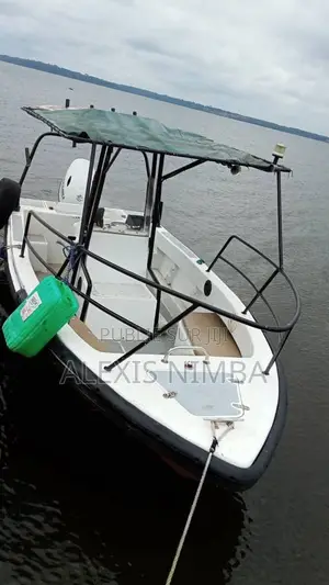Bateau Pêche Et Plaisance Avec 115cv Suziki