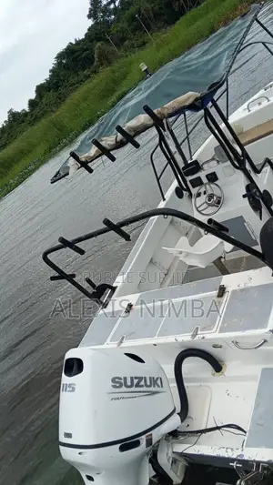 Bateau Pêche Et Plaisance Avec 115cv Suziki