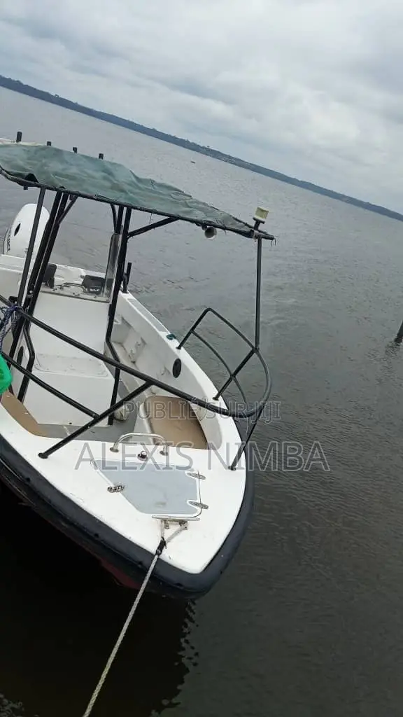 Bateau Pêche Et Plaisance Avec 115cv Suziki
