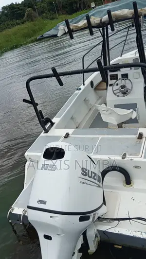 Bateau Pêche Et Plaisance Avec 115cv Suziki