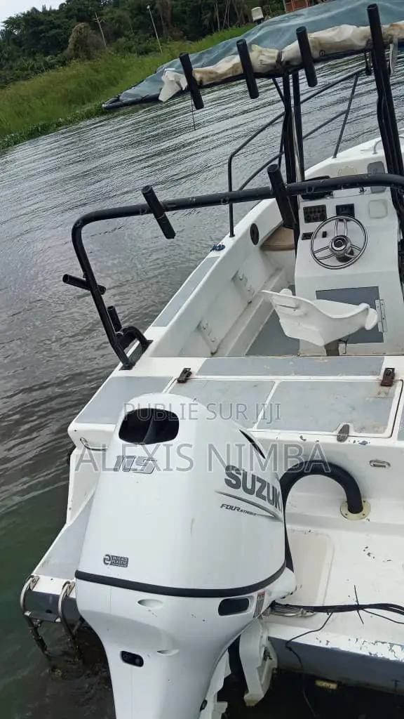 Bateau Pêche Et Plaisance Avec 115cv Suziki