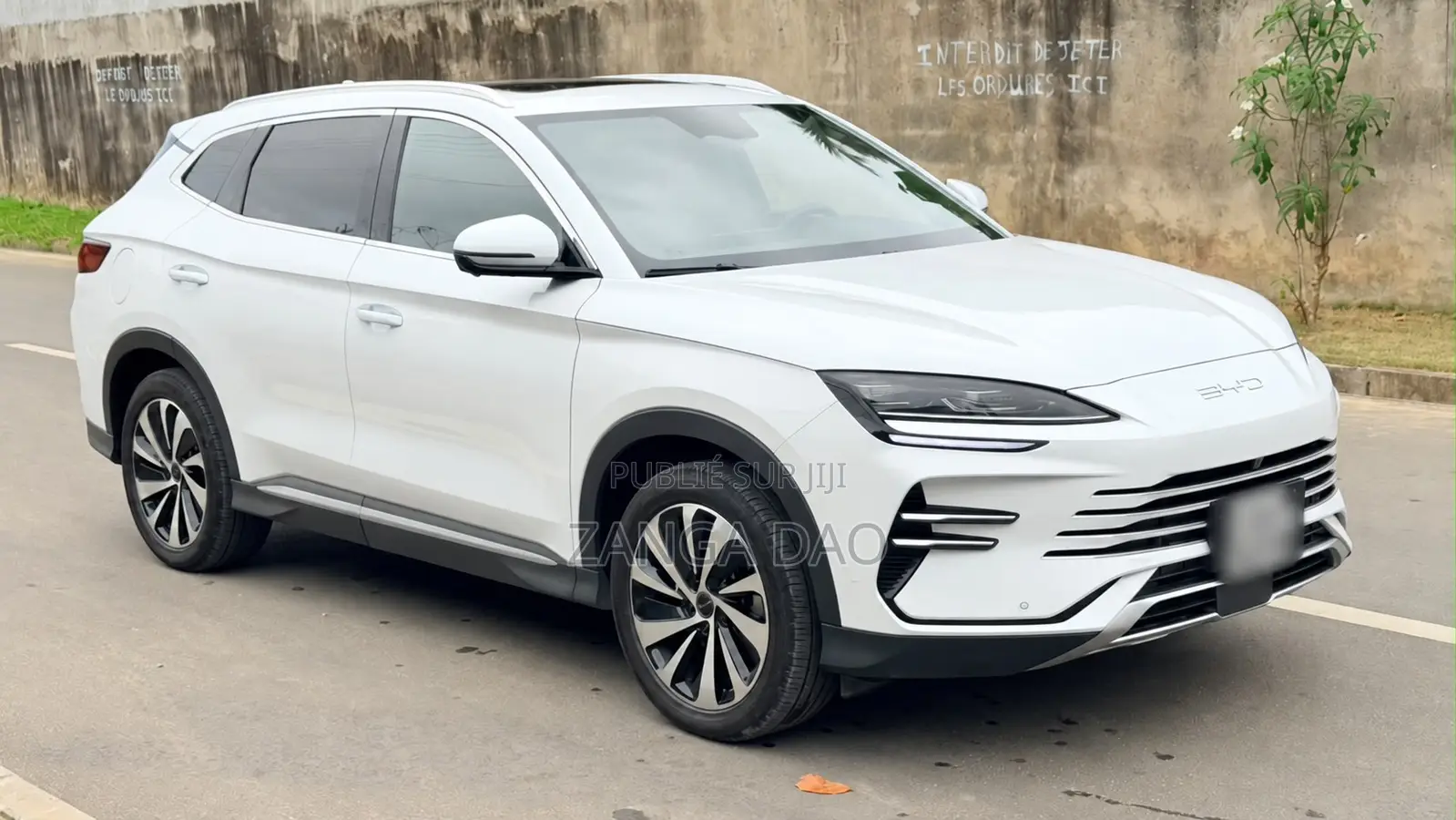 BYD Song Plus 2025 Blanc