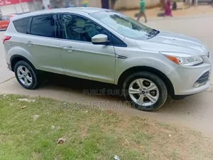 Ford Escape S 2013 Gris
