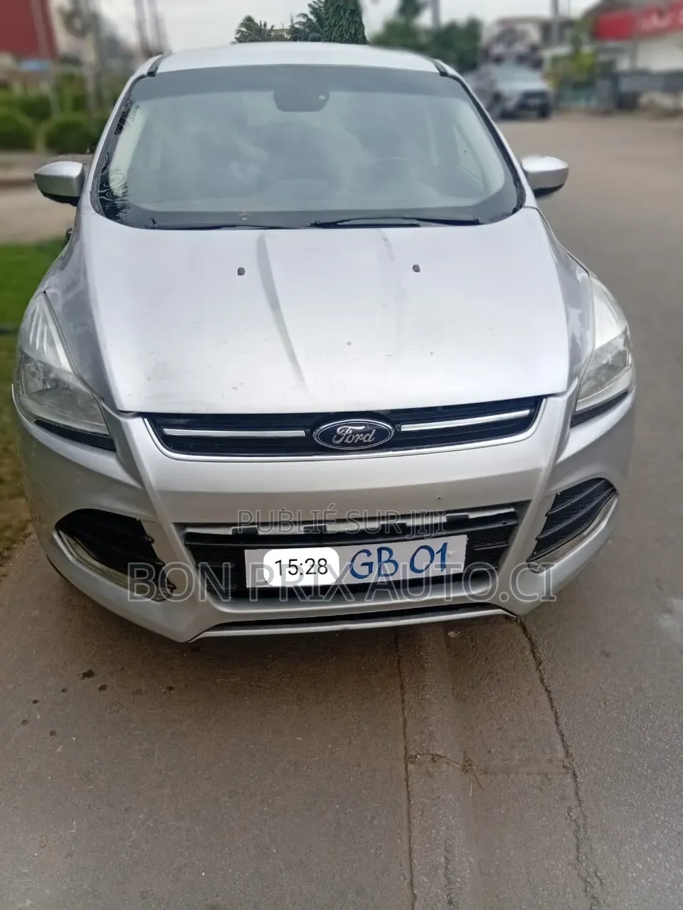 Ford Escape S 2013 Gris