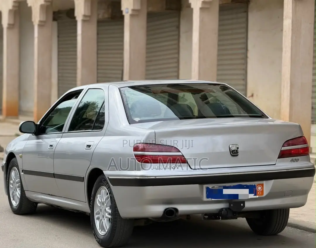 Peugeot 406 2002 Gris