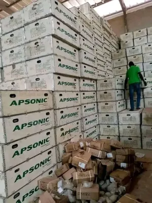 Nouveau Apsonic AP125-30 2025 Argenté