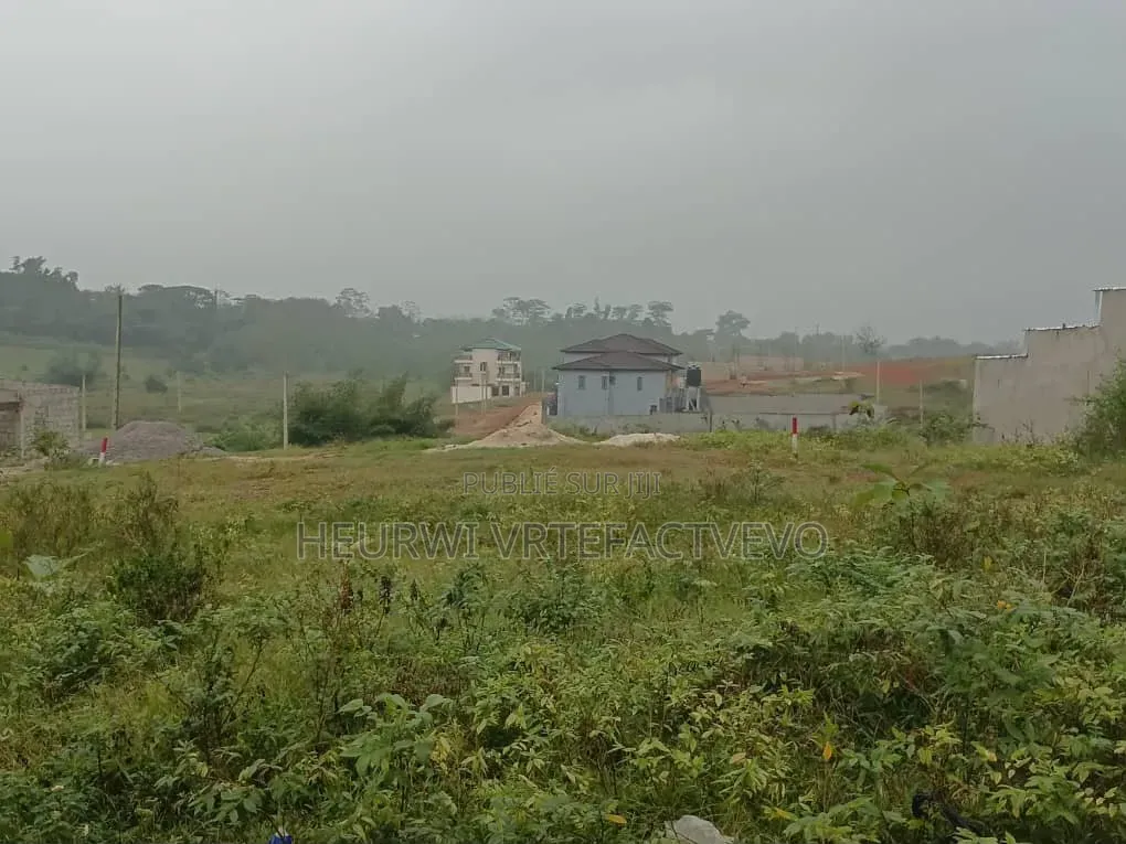 43 Hectares en Vente À PRIKRO