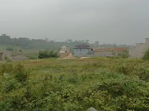 43 Hectares en Vente À PRIKRO
