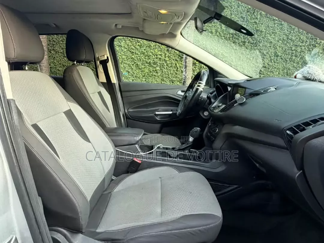 Ford Edge 2017 Gris