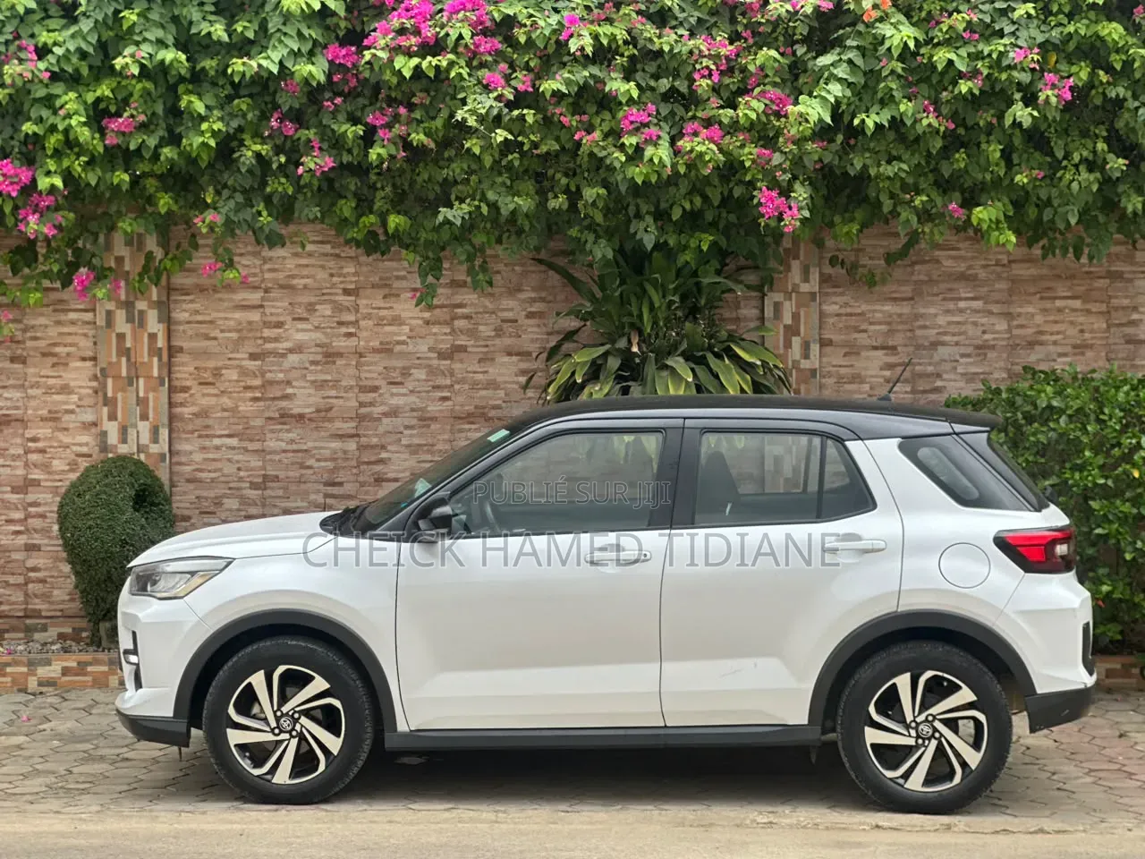 Toyota Raize 2025 Blanc