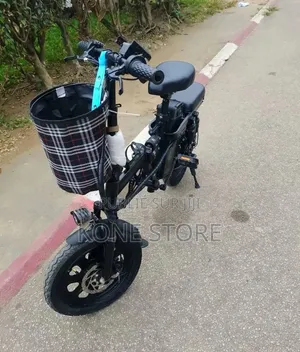 Vélo Électrique