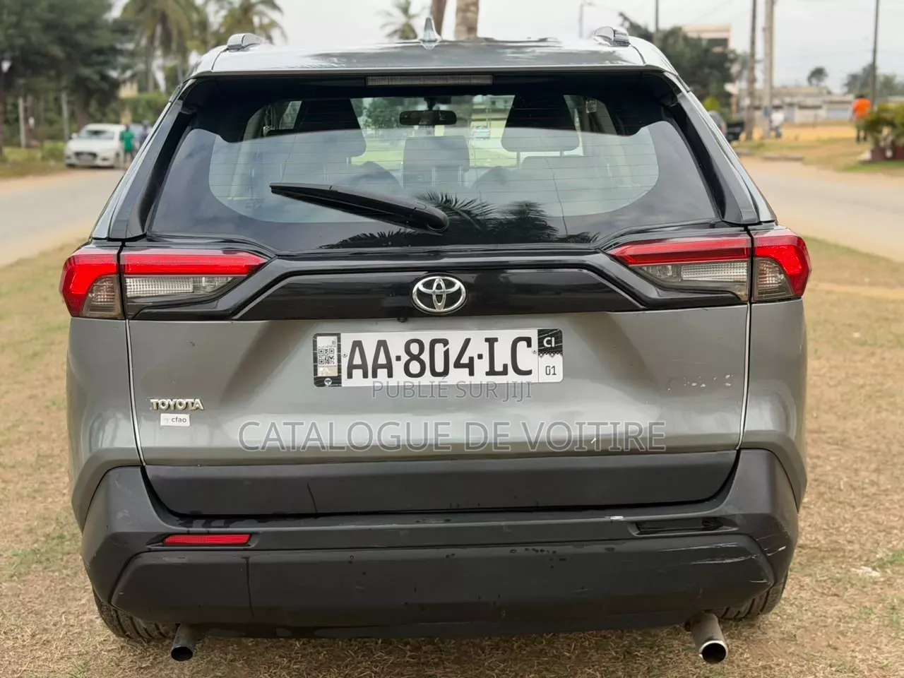 Toyota RAV4 2022 Gris