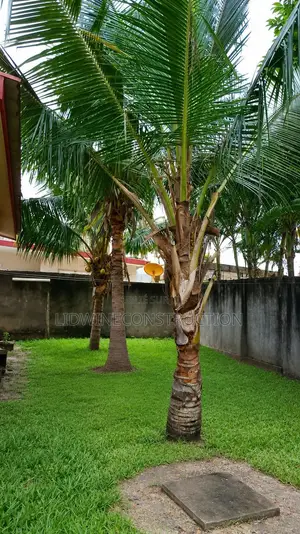4chbre Villa dans Bingerville à Vendre