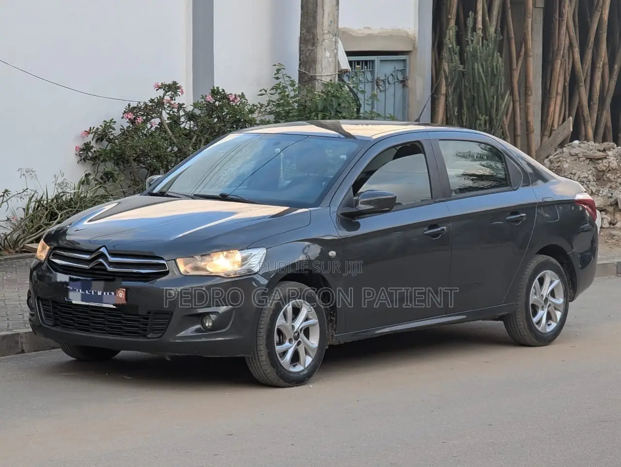 Citroen C-Elysee 2014 Noir Mat